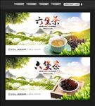 六堡茶