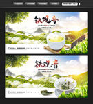 铁观音