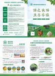 绿色农场生态养殖宣传单