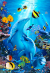海洋世界