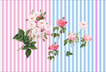 卡通花