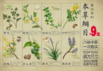 本草素材