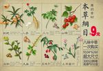 本草素材