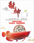中国风水墨海报
