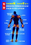 穴位图