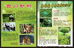 动物介绍