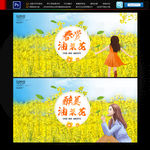 油菜花