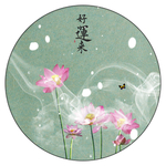 荷花摄影
