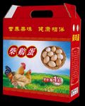 鸡蛋包装