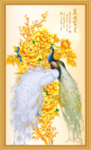 花开富贵