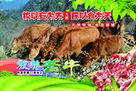 牧以安为先民以食为天