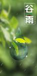 谷雨海报