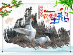 农家土鹅