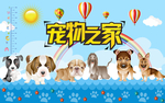宠物店背景墙
