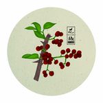手绘红花椒