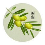 橄榄