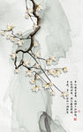 玉兰花