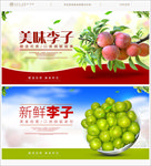 李子海报