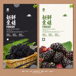 桑葚