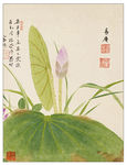 国画