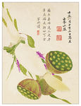 国画