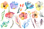 手绘清新鲜花花卉插画图