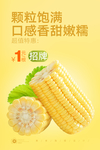 玉米