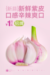 紫皮大蒜