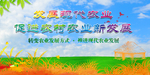 新农村