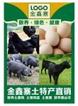 土特产海报
