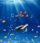 海洋