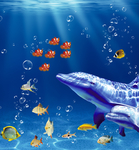 海洋