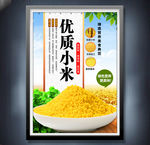 小米