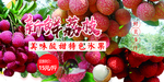 荔枝
