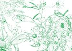 绿野鲜花小草  工笔画