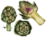 手绘风格蔬菜插画素材