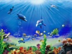 海底世界