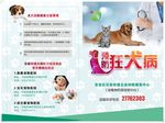 狂犬病宣传折页