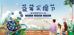 蓝莓采摘