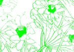 花妆夏荷 插画