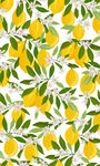 柠檬树叶插画素材