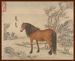 马