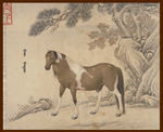 马