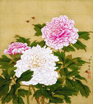 牡丹花