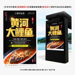 大鲤鱼