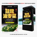 蒜茸油麦菜
