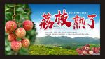 荔枝熟了