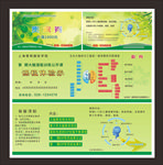 最强大脑 体验券 课程券