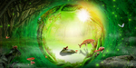 森林  梦幻之境