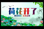 荷花开了